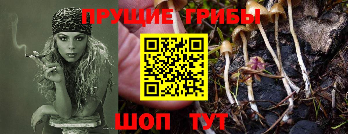 Галлюциногенные грибы ЛСД  Вход с VPN  Александров 