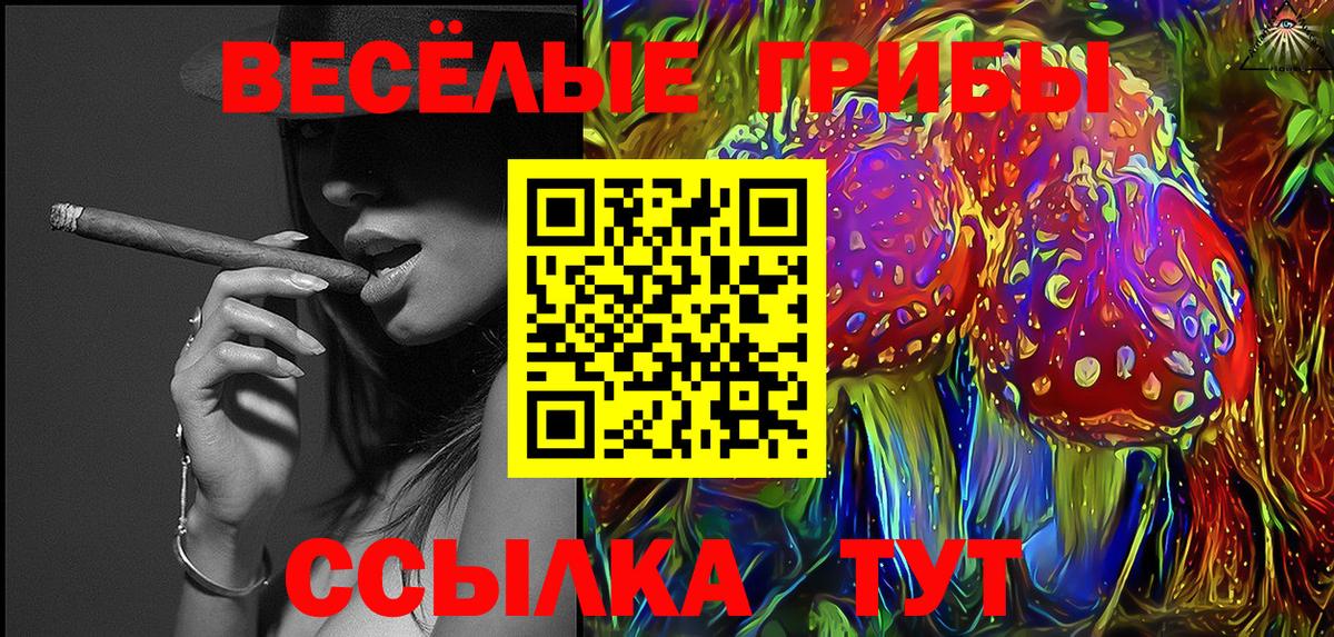 Галлюциногенные грибы Psilocybe Александров